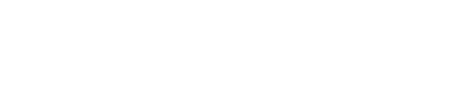 Wiseman Financial Solutions